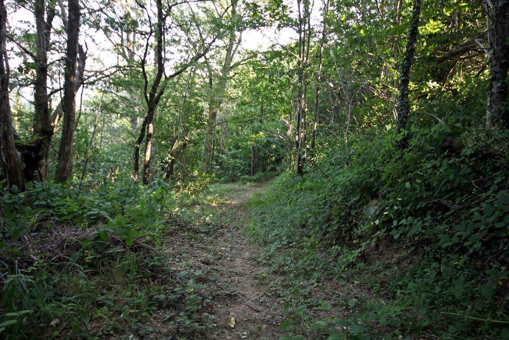 Camping Domaine Vallée du Tarn Saint-Cirgue Extérieur photo